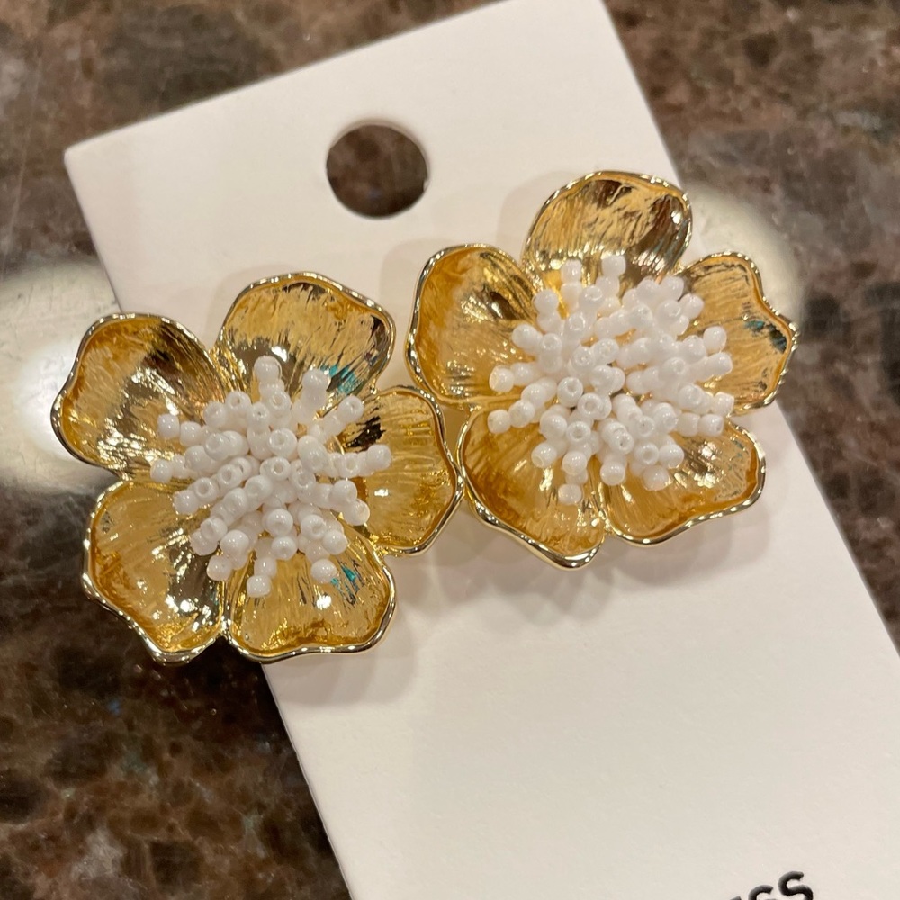 NWT Express earrings